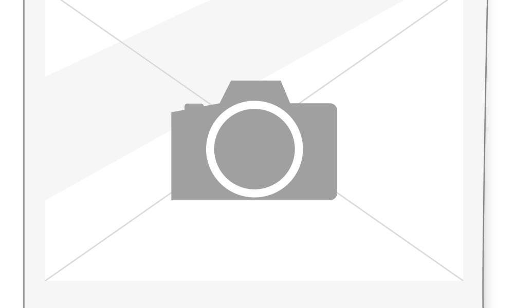 Småfugler i hagen – Disse norske artene finner du på fuglebrettet /Files/Images/Små fugler i hagen.jpg